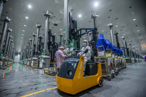 三年產值增長10倍 中國綠色硅谷強勢崛起丨新型工業化市州行樂山